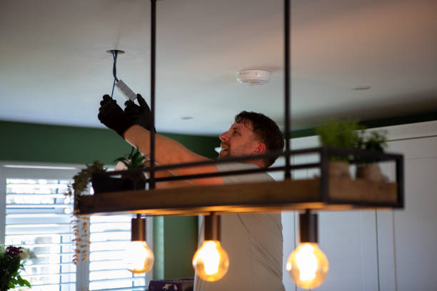 Best Generator Installation Services  in Apalachin, NY